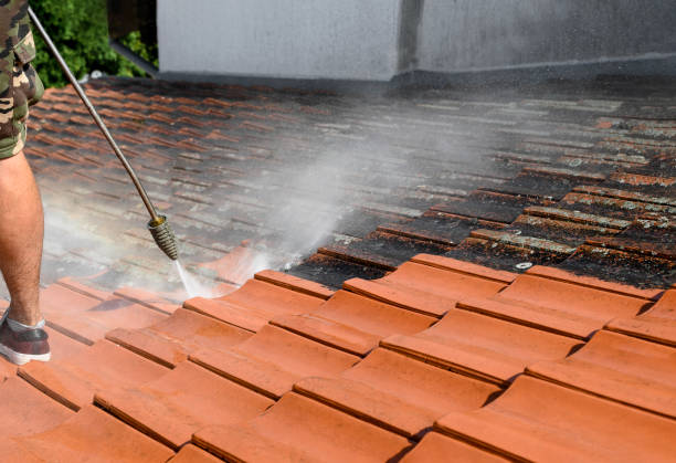 Best Deck Cleaning Services  in Sharon, WI